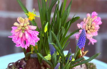 Ferienwohnung Kurze Auszeit 24 Std Check in - Photo 21