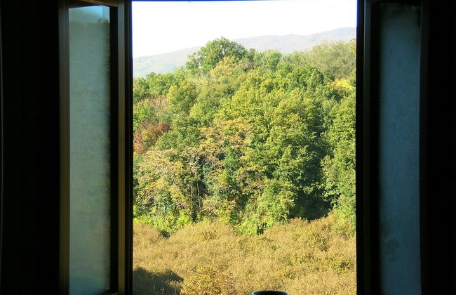 Ancient Rural Tower in Tuscia Area, Near Viterbo Italy - Foto 5