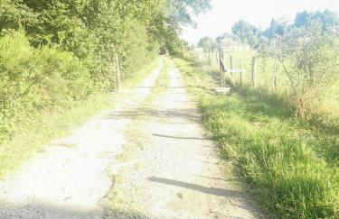 La villa Lambert-Longière - Foto 34