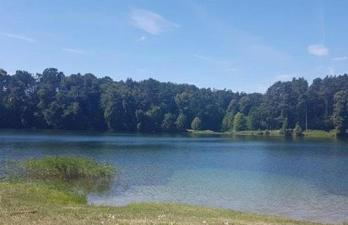 Dom letniskowy nad jeziorem Wigry Staw Suwalszczyzna - Foto 27