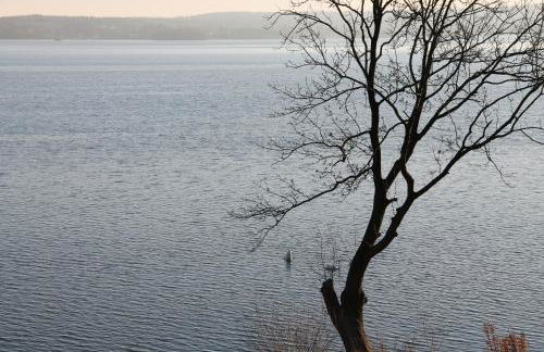 Fewo-Suite mit Seeblick - Foto 15