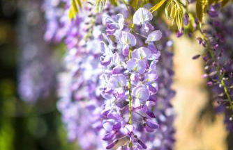La Maison de la Mer - Vacation home in Normandy - Foto 53