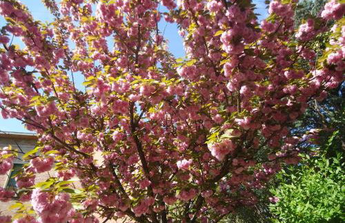 La Sora Bice - Foto 19