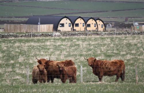 Glengolly Getaways - Foto 6