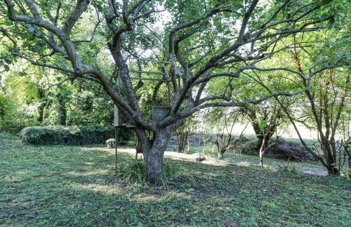 Chalkpit Cottage - Foto 35