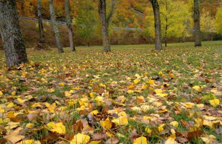 Bajo Los Tilos - Foto 39