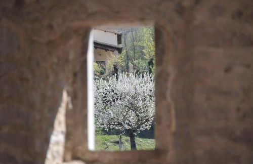 LA CASETTA - Photo 36