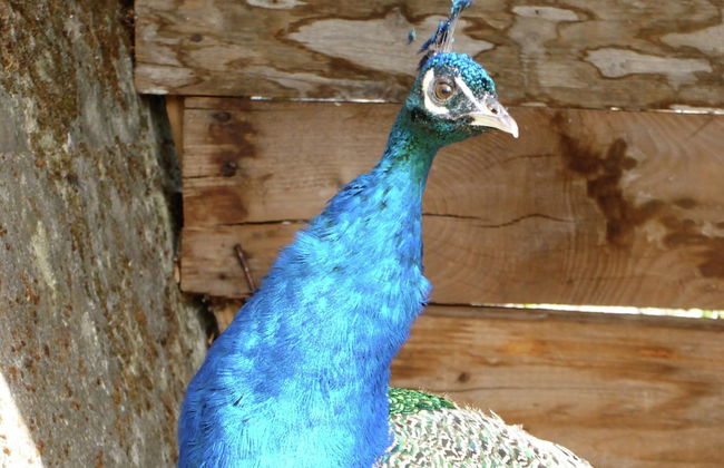 Tranquil Villa in San Romano di Garfagnana with Hot Tub - Foto 31