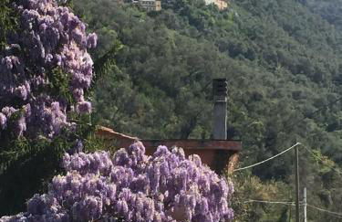 Five Lands Pink Cottage - Foto 19