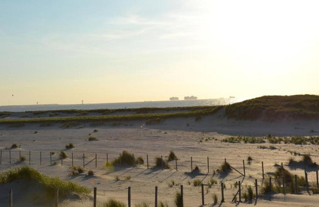 Bungalow in Netherlands With Dune Garden - Foto 37