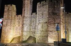 Dillons Lakeside Lodge - Photo 38