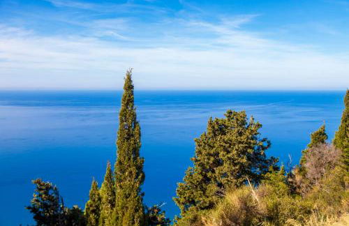 Ble on Blue - Photo 54