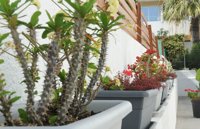 Napa City Apartments - Foto 72