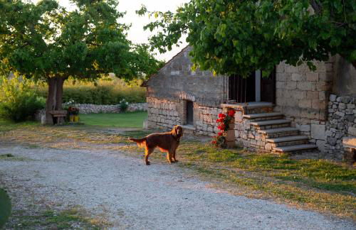 Lama Di Luna Biomasseria - Foto 40