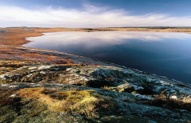 Tranquil 3 Bed - All En Suite - Cottage in Hexham - Foto 5