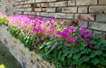 Agriturismo Tenuta Santa Maria - Foto 15