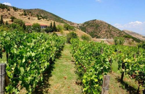 Country Home Genesi 20 min from Trikala - Foto 55