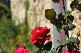 Quinta Da Longra - Foto 22