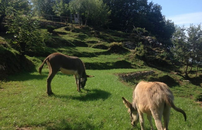 Il Podere di Metato Restored Tuscan Farmhouse With Pool With Views of Hills and Sea - Foto 23