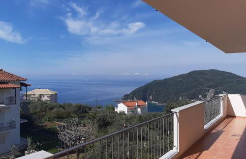 Olive Tree Apartments - Foto 16