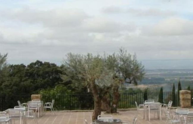 Estudios Manolo - Photo 25