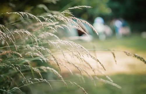 The Woodland Lodge - Wood Fired Hot Tub and Firepit - Foto 31