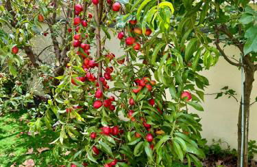 The Well Apartment, Sao Vicente 86 - Foto 29