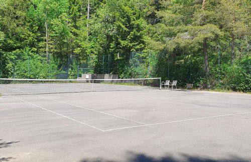 Black Forest Schwarzwaldliebe Pool Sauna Tennis Tischtennis Wifi Prime Tv Natur - Foto 35