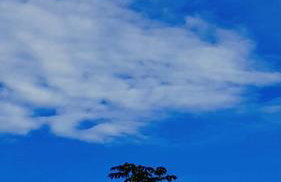 Marujada Experience Corisco Paraty - Foto 12