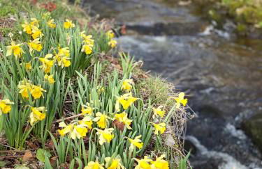 LE VERTBRUCHE - Gîte avec superbe vue pour 15 pers - Foto 52