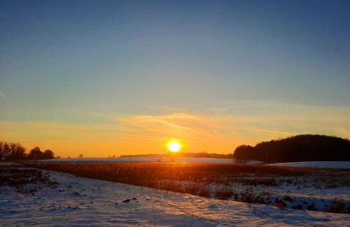 Ferienhaus Am Anger - Foto 33