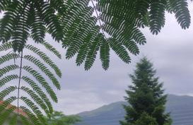 Zisis Garden Studios - Photo 14