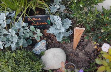 La Salicorne hébergement insolite - Foto 27