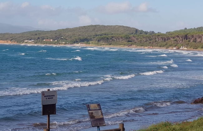 Casa di Allegra Terme di Venturina - Foto 21