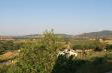 Maremma che vista! - Foto 32