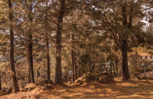 Cabana Barragem do Salto - 15 min de Canela - Foto 13