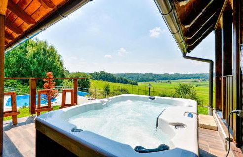 Beautiful Home In Radakovo With Sauna - Photo 2