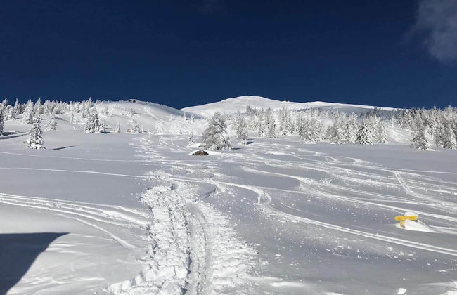 David Suiten - Foto 50