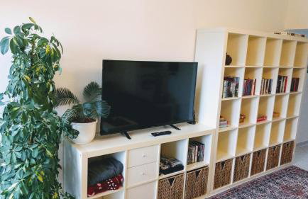 70qm Wohnung, 76771 Hördt, Naturschutzgebiet, Rheinland-Pfalz - Foto 10