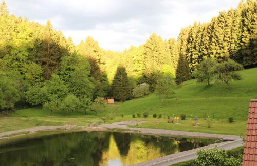 Ferienwohnung Nüssleshof - Foto 25