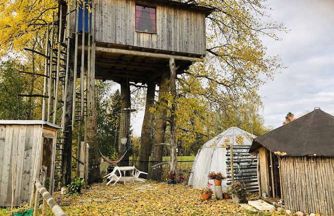 Treehouse Magpies Nest With Bubble Pool - Foto 29