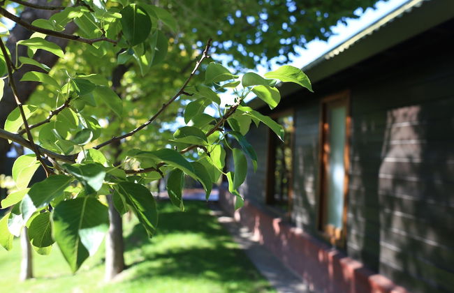 Cabañas la Chacra - Foto 50