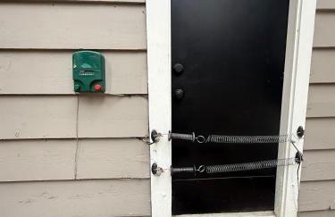 Lake Tahoe Cabin I Hammocks, Paddle Boards and Bikes - Foto 16