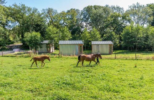 Sunset Cabins at The Oaks Woodland Retreat - Foto 18