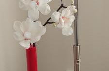 Ferienwohnung Odenwaldblick - Foto 15