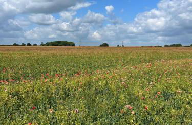 The Old Stable 1 - Foto 22