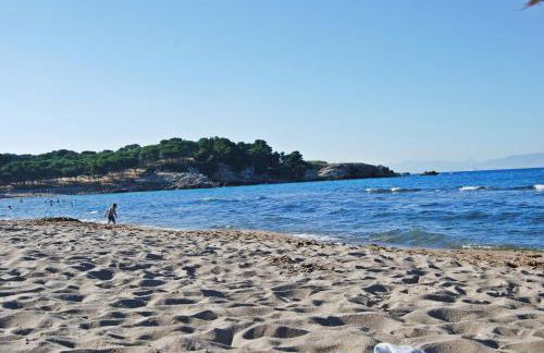 Albatros House - Foto 42