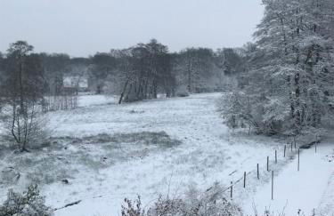 mitten im dorf - Foto 47