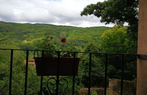 Hotel rural El Jardin del Conde - Foto 16