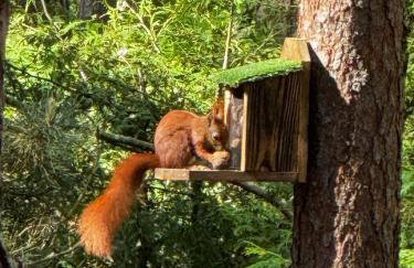 Domek rekreacyjny DORAN - Foto 38